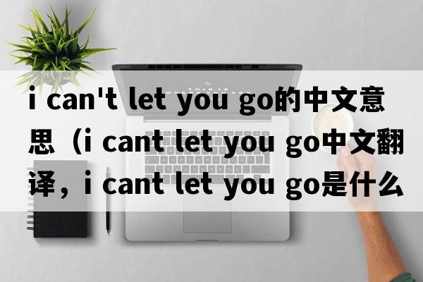 i can't let you go的中文意思（i cant let you go中文翻譯，i cant let you go是什么意思，i cant let you go發(fā)音、用法及例句）