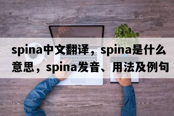 spina中文翻譯，spina是什么意思，spina發(fā)音、用法及例句