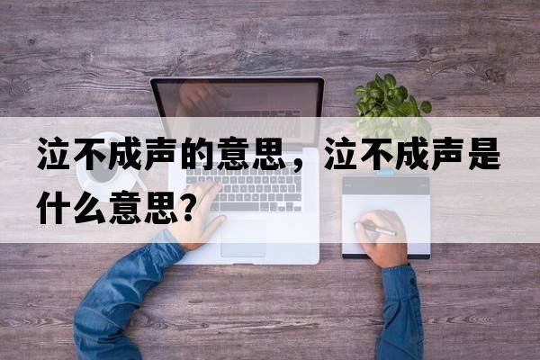 泣不成聲的意思，泣不成聲是什么意思？
