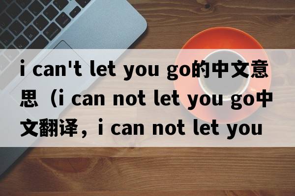 i can't let you go的中文意思（i can not let you go中文翻譯，i can not let you go是什么意思，i can not let you go