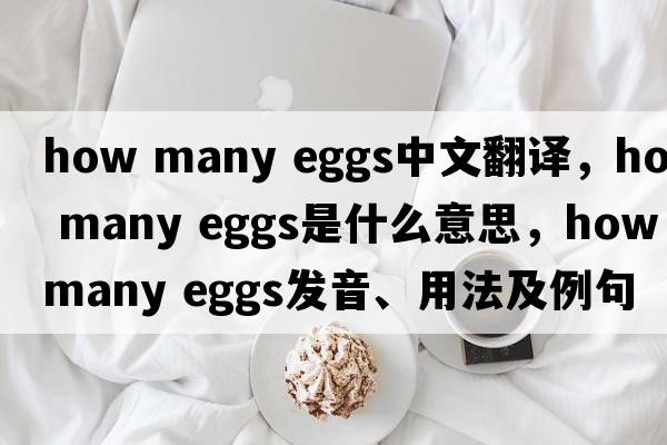 how many eggs中文翻譯，how many eggs是什么意思，how many eggs發(fā)音、用法及例句