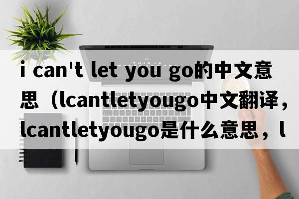 i can't let you go的中文意思（lcantletyougo中文翻譯，lcantletyougo是什么意思，lcantletyougo發(fā)音、用法及例句）