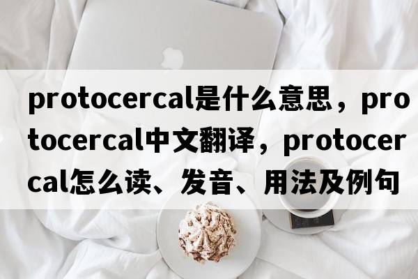 protocercal是什么意思，protocercal中文翻譯，protocercal怎么讀、發(fā)音、用法及例句