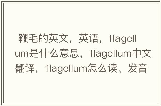  鞭毛的英文，英語(yǔ)，flagellum是什么意思，flagellum中文翻譯，flagellum怎么讀、發(fā)音、用法及例句