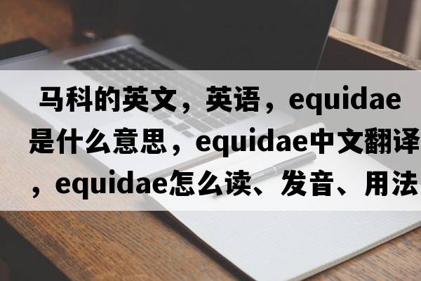  馬科的英文，英語(yǔ)，Equidae是什么意思，Equidae中文翻譯，Equidae怎么讀、發(fā)音、用法及例句