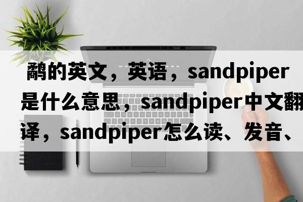  鷸的英文，英語(yǔ)，sandpiper是什么意思，sandpiper中文翻譯，sandpiper怎么讀、發(fā)音、用法及例句