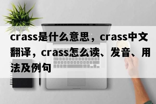 crass是什么意思，crass中文翻譯，crass怎么讀、發(fā)音、用法及例句