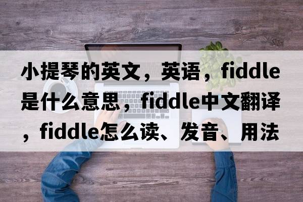 小提琴的英文，英語(yǔ)，fiddle是什么意思，fiddle中文翻譯，fiddle怎么讀、發(fā)音、用法及例句