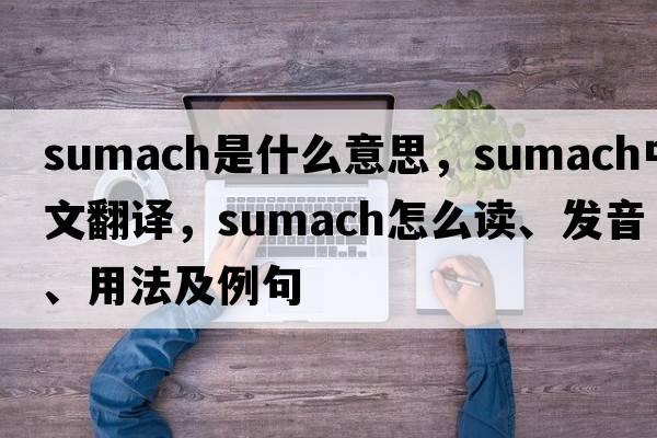 sumach是什么意思，sumach中文翻譯，sumach怎么讀、發(fā)音、用法及例句