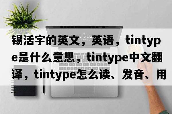 錫活字的英文，英語(yǔ)，tintype是什么意思，tintype中文翻譯，tintype怎么讀、發(fā)音、用法及例句