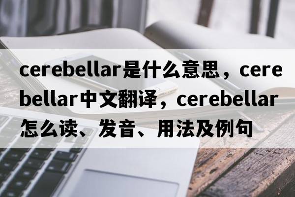 cerebellar是什么意思，cerebellar中文翻譯，cerebellar怎么讀、發(fā)音、用法及例句