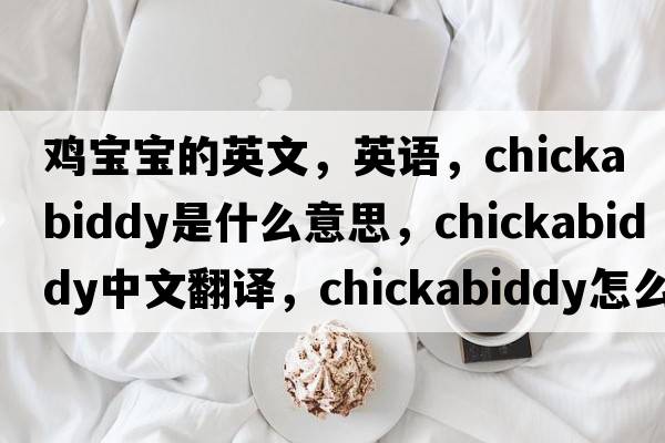 雞寶寶的英文，英語(yǔ)，chickabiddy是什么意思，chickabiddy中文翻譯，chickabiddy怎么讀、發(fā)音、用法及例句