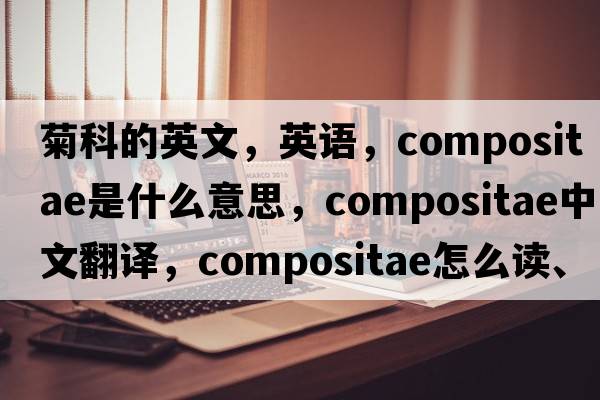 菊科的英文，英語(yǔ)，Compositae是什么意思，Compositae中文翻譯，Compositae怎么讀、發(fā)音、用法及例句