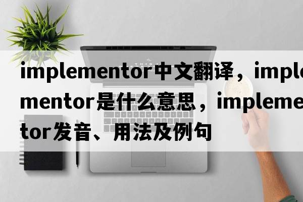 implementor中文翻譯，implementor是什么意思，implementor發(fā)音、用法及例句