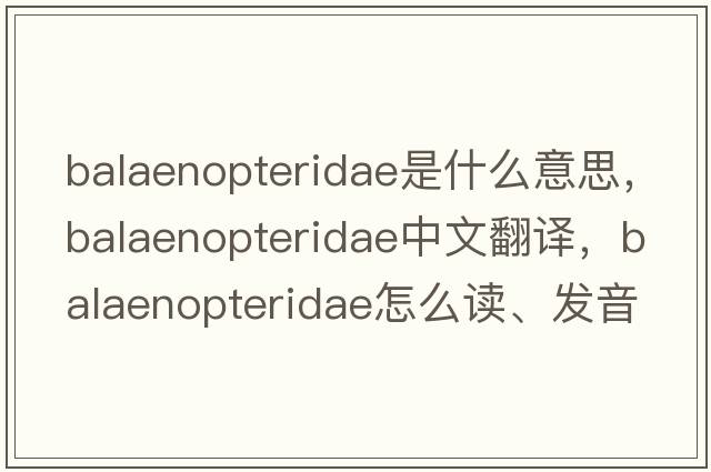 Balaenopteridae是什么意思，Balaenopteridae中文翻譯，Balaenopteridae怎么讀、發(fā)音、用法及例句