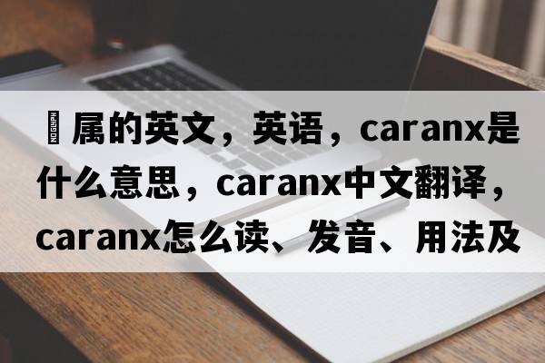鲹屬的英文，英語(yǔ)，Caranx是什么意思，Caranx中文翻譯，Caranx怎么讀、發(fā)音、用法及例句
