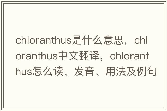 chloranthus是什么意思，chloranthus中文翻譯，chloranthus怎么讀、發(fā)音、用法及例句
