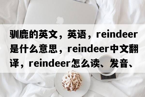 馴鹿的英文，英語(yǔ)，reindeer是什么意思，reindeer中文翻譯，reindeer怎么讀、發(fā)音、用法及例句