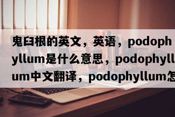 鬼臼根的英文，英語(yǔ)，podophyllum是什么意思，podophyllum中文翻譯，podophyllum怎么讀、發(fā)音、用法及例句