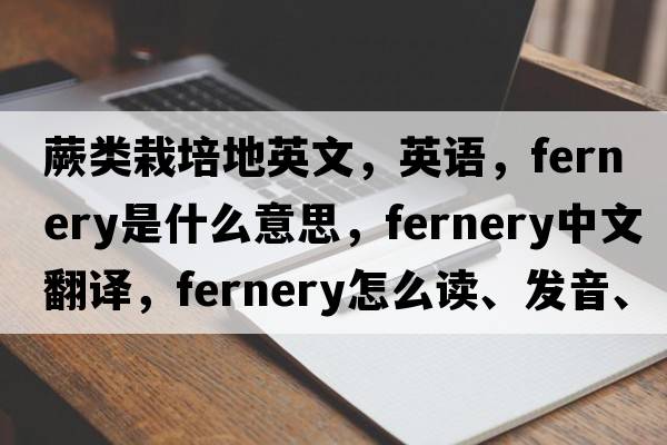 蕨類(lèi)栽培地英文，英語(yǔ)，fernery是什么意思，fernery中文翻譯，fernery怎么讀、發(fā)音、用法及例句