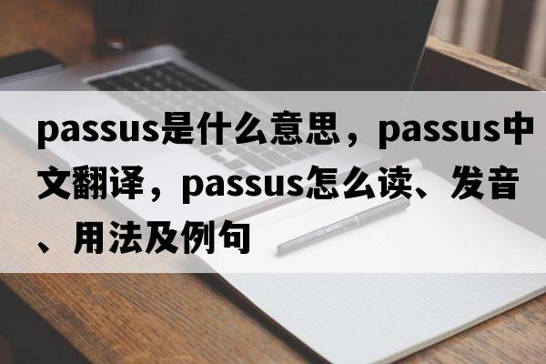 passus是什么意思，passus中文翻譯，passus怎么讀、發(fā)音、用法及例句