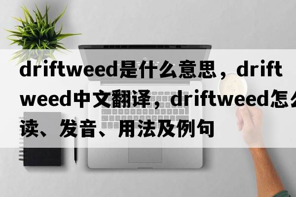 driftweed是什么意思，driftweed中文翻譯，driftweed怎么讀、發(fā)音、用法及例句