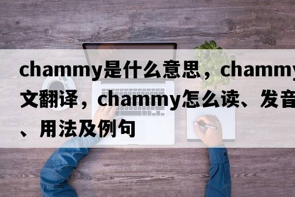 chammy是什么意思，chammy中文翻譯，chammy怎么讀、發(fā)音、用法及例句