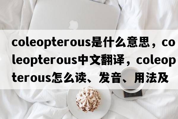 coleopterous是什么意思，coleopterous中文翻譯，coleopterous怎么讀、發(fā)音、用法及例句