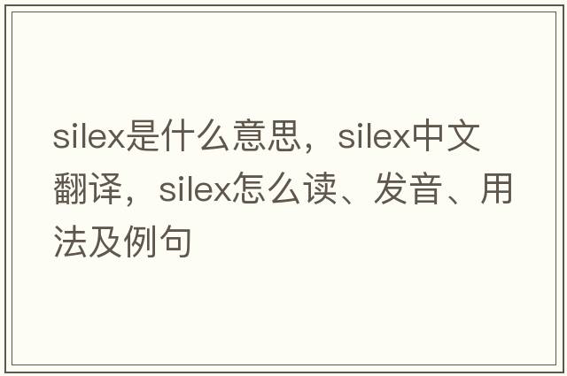 silex是什么意思，silex中文翻譯，silex怎么讀、發(fā)音、用法及例句