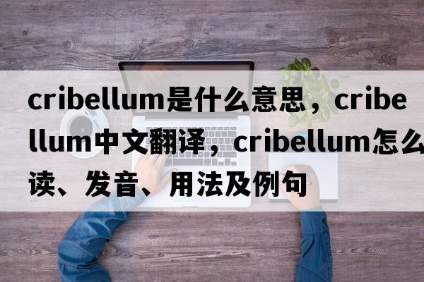 cribellum是什么意思，cribellum中文翻譯，cribellum怎么讀、發(fā)音、用法及例句