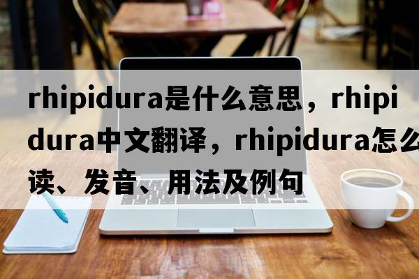 rhipidura是什么意思，rhipidura中文翻譯，rhipidura怎么讀、發(fā)音、用法及例句
