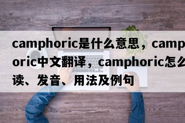 camphoric是什么意思，camphoric中文翻譯，camphoric怎么讀、發(fā)音、用法及例句