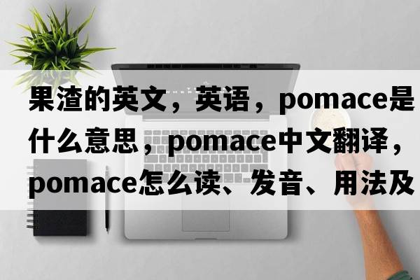 果渣的英文，英語(yǔ)，pomace是什么意思，pomace中文翻譯，pomace怎么讀、發(fā)音、用法及例句