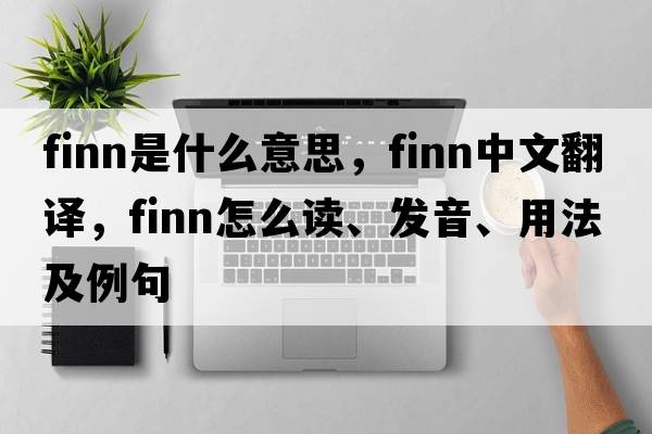 finn是什么意思，finn中文翻譯，finn怎么讀、發(fā)音、用法及例句