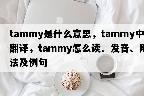 tammy是什么意思，tammy中文翻譯，tammy怎么讀、發(fā)音、用法及例句