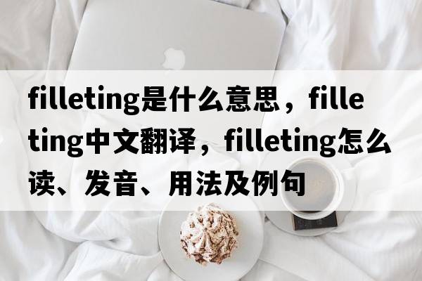 filleting是什么意思，filleting中文翻譯，filleting怎么讀、發(fā)音、用法及例句