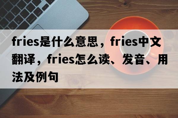 fries是什么意思，fries中文翻譯，fries怎么讀、發(fā)音、用法及例句