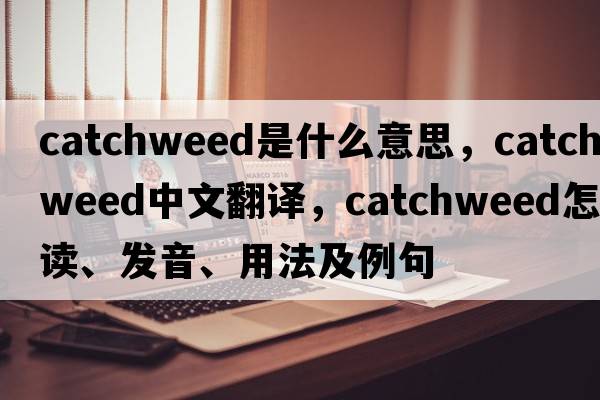 catchweed是什么意思，catchweed中文翻譯，catchweed怎么讀、發(fā)音、用法及例句