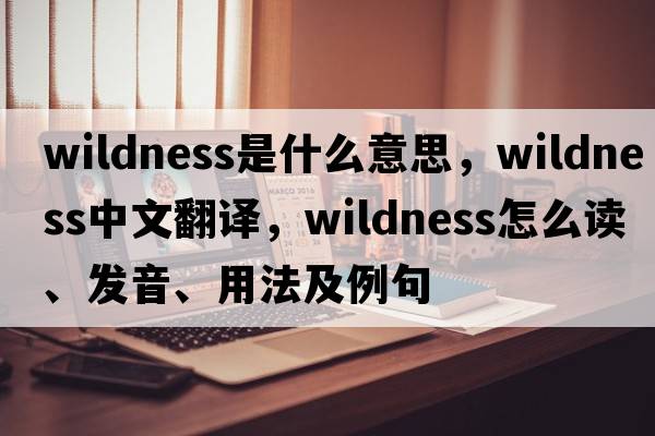wildness是什么意思，wildness中文翻譯，wildness怎么讀、發(fā)音、用法及例句