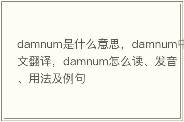 damnum是什么意思，damnum中文翻譯，damnum怎么讀、發(fā)音、用法及例句