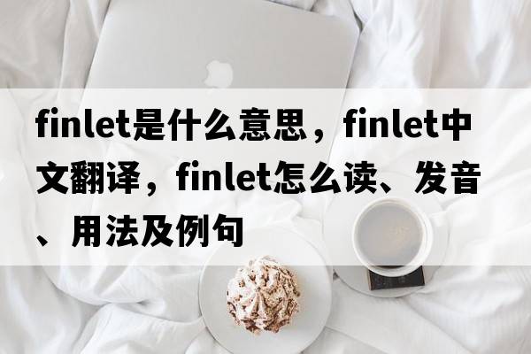 finlet是什么意思，finlet中文翻譯，finlet怎么讀、發(fā)音、用法及例句