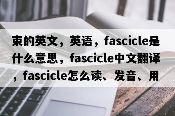 束的英文，英語(yǔ)，fascicle是什么意思，fascicle中文翻譯，fascicle怎么讀、發(fā)音、用法及例句