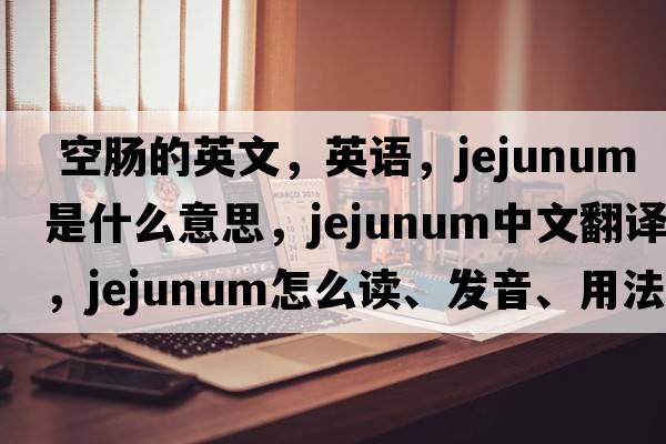  空腸的英文，英語(yǔ)，jejunum是什么意思，jejunum中文翻譯，jejunum怎么讀、發(fā)音、用法及例句