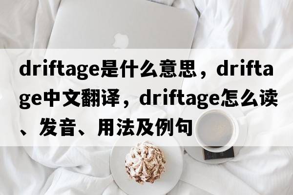 driftage是什么意思，driftage中文翻譯，driftage怎么讀、發(fā)音、用法及例句
