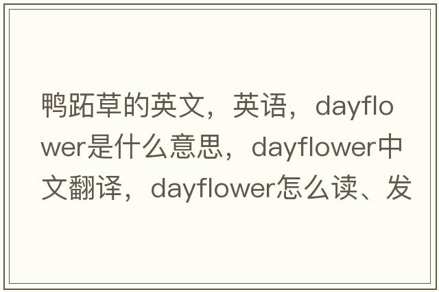 鴨跖草的英文，英語(yǔ)，dayflower是什么意思，dayflower中文翻譯，dayflower怎么讀、發(fā)音、用法及例句