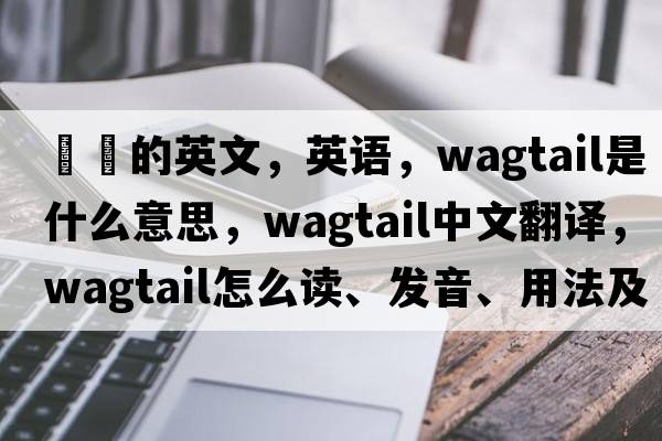 鹡鸰的英文，英語(yǔ)，wagtail是什么意思，wagtail中文翻譯，wagtail怎么讀、發(fā)音、用法及例句