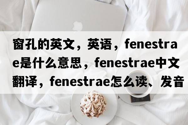 窗孔的英文，英語(yǔ)，fenestrae是什么意思，fenestrae中文翻譯，fenestrae怎么讀、發(fā)音、用法及例句