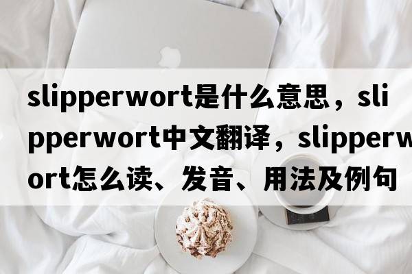 slipperwort是什么意思，slipperwort中文翻譯，slipperwort怎么讀、發(fā)音、用法及例句