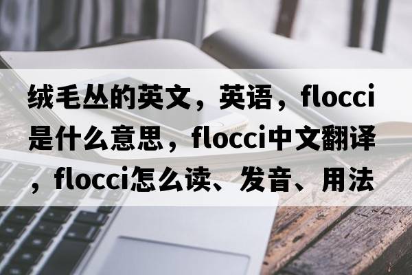 絨毛叢的英文，英語(yǔ)，flocci是什么意思，flocci中文翻譯，flocci怎么讀、發(fā)音、用法及例句