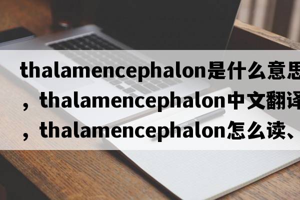 thalamencephalon是什么意思，thalamencephalon中文翻譯，thalamencephalon怎么讀、發(fā)音、用法及例句